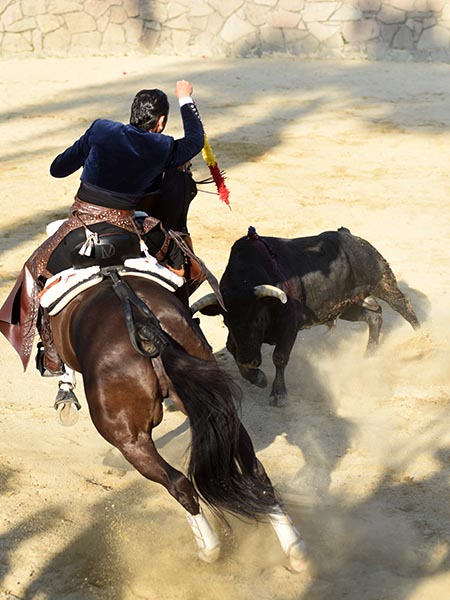 Banderilla en grana y gualda