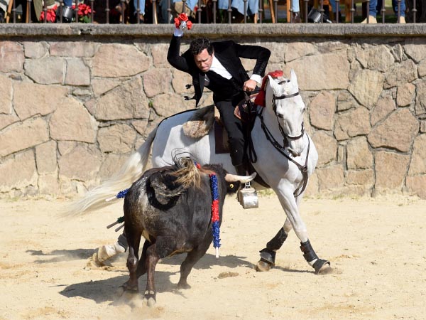 Nueva faceta de torero