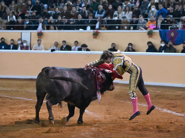 Maestro en la suerte suprema