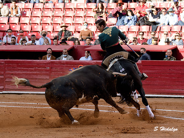 Encelando al toro