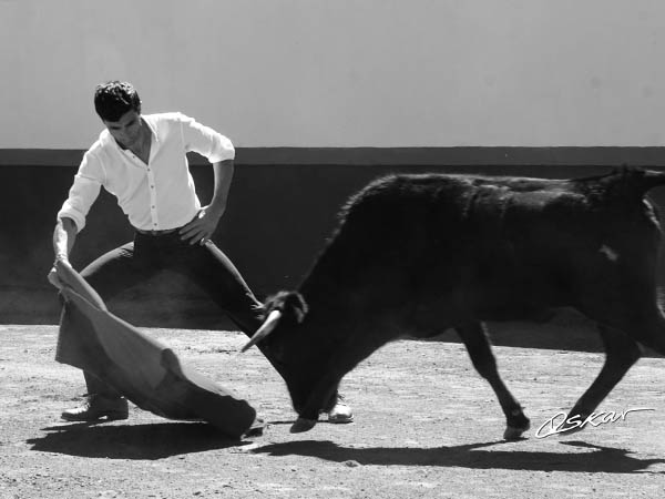 Primerosa pases a la erala