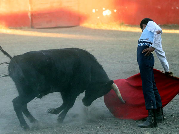 Arte y valor del chaval