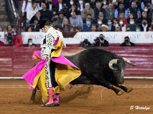 Aguantando la embestida