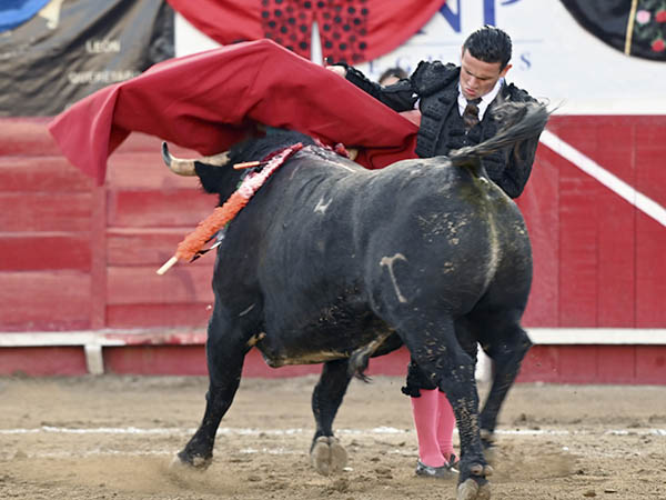 Adornos finales de faena