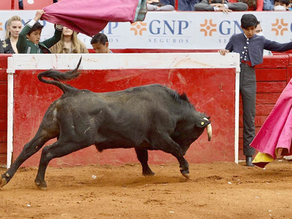 Salta al ruedo el primero