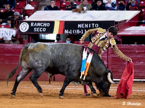 Sintiendo el toreo