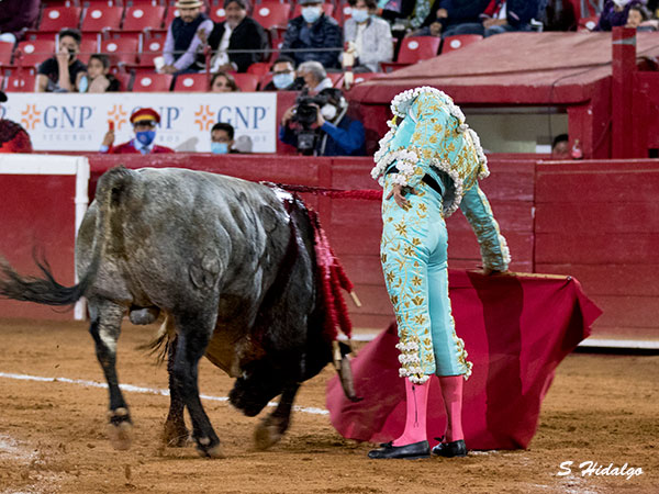 Le rob algunos muletazos templados