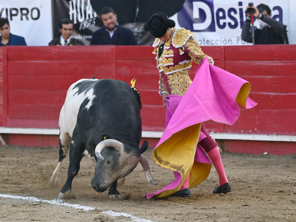 Saludo capotero