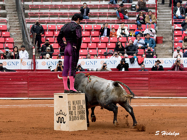 Ovacionado en el tancredo