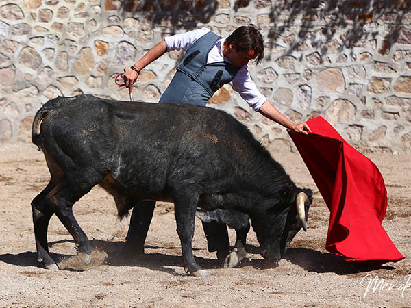 Sentimiento lagunero