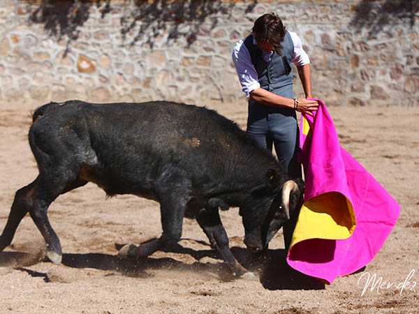 Repertorio capotero