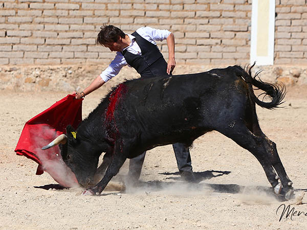 La faena al negro