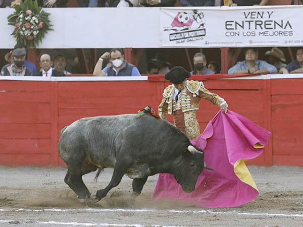 Vernicas en el tercio