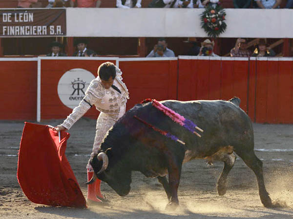 Tirando del crdeno