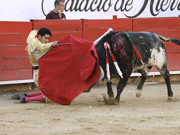 Prlogo de hinojos