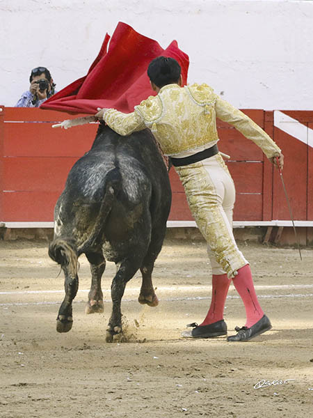 Barriendo los lomos