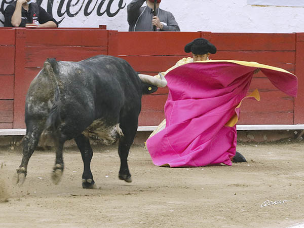 Zapata abre la temporada