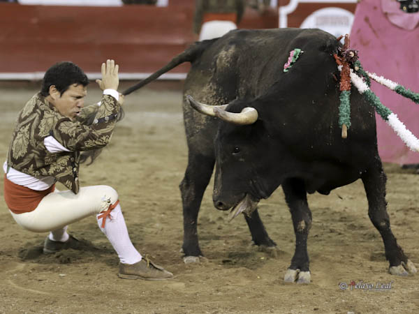 Las habilidades de Ren