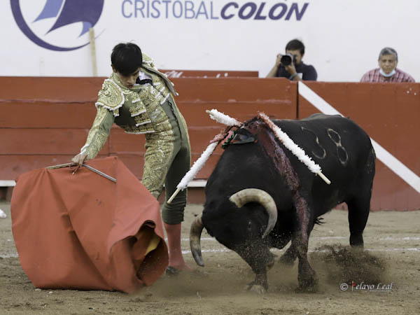 Bajo la atenta mirada de Pedrn