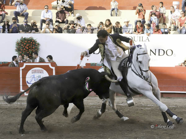 El pitn en la rodilla