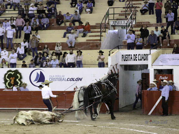 Palmas y arrastre lento