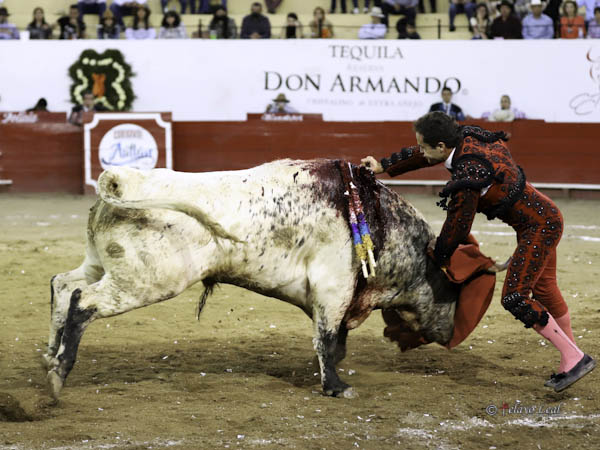 Partido en dos