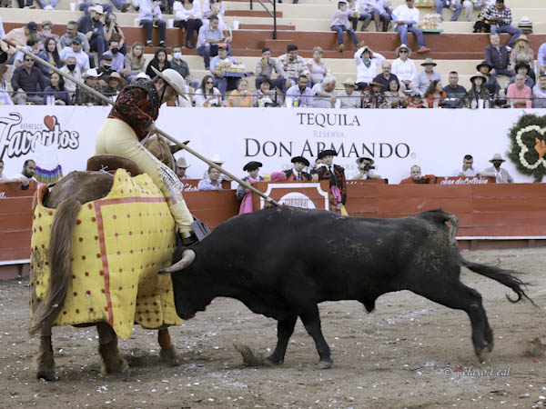 El oficio de Guillermo Cobos