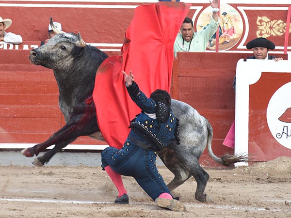 Remate rodilla en tierra