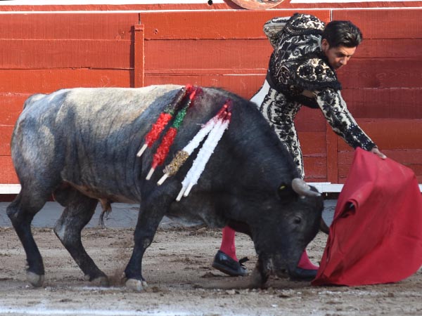 Evocando a El Lobo