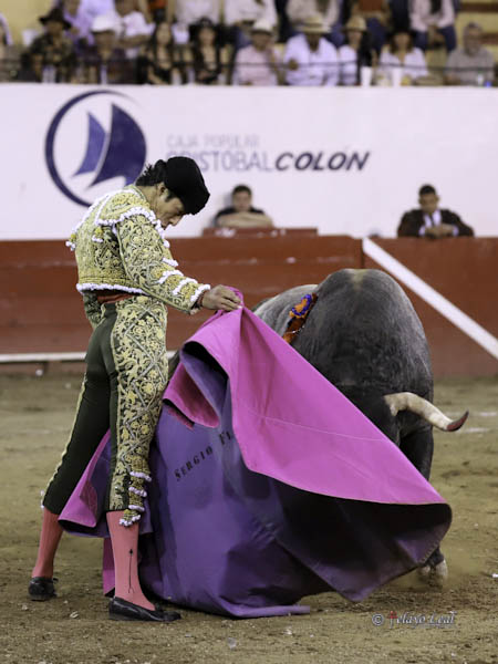 Vernicas en los medios