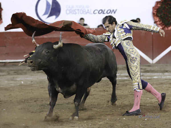 Barriendo los lomos