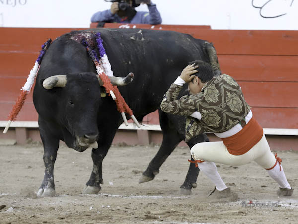 Ren, maestro en el rabillado