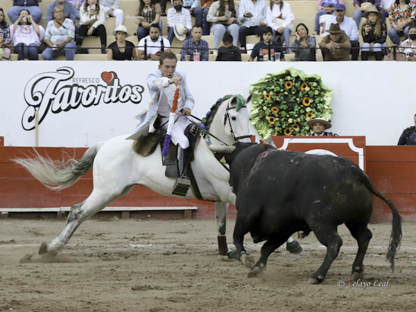 Frente a frente