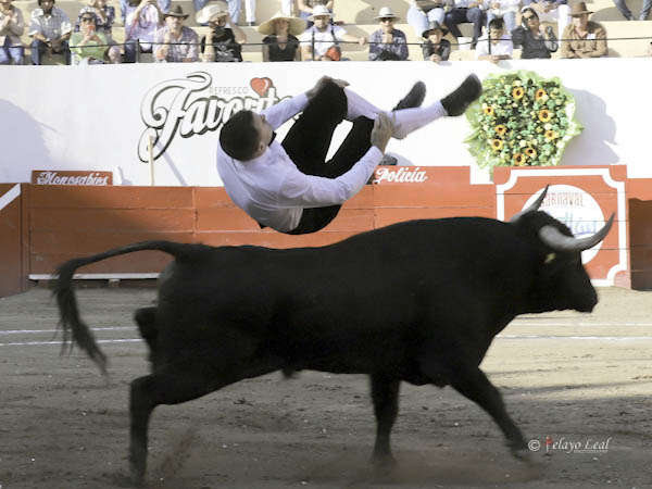 Piruetas en el aire