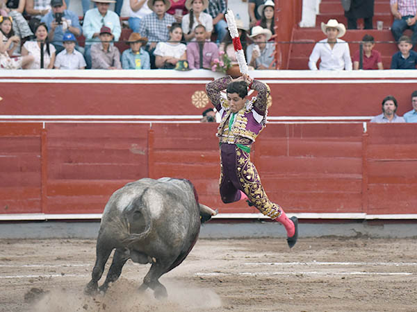 El vuelo de Luis David