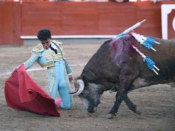 De hinojos