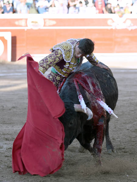 Embarrado de toro