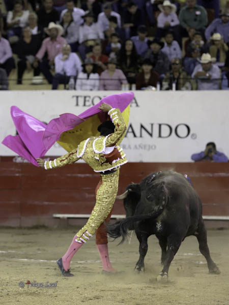 Bajo el mismo techo