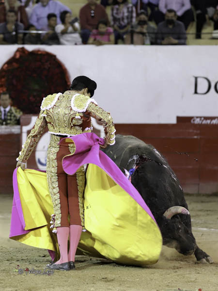 Hctor con el octavo