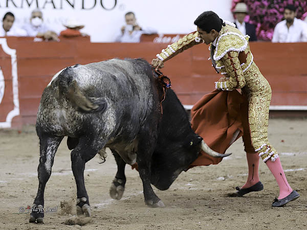 En la suerte suprema