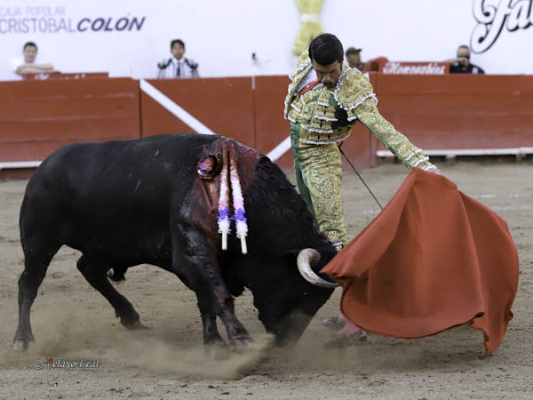 Importante fondo de nobleza