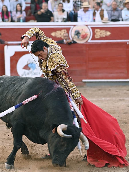 Adornos de muleta