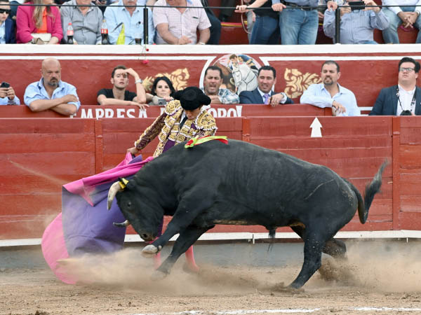 Saludo capotero