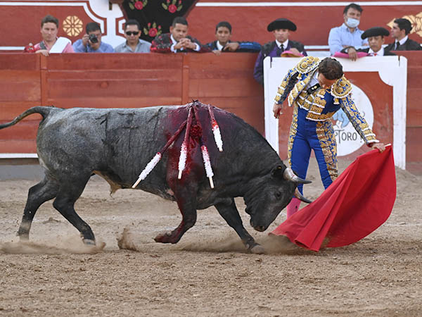 Templando por el izquierdo