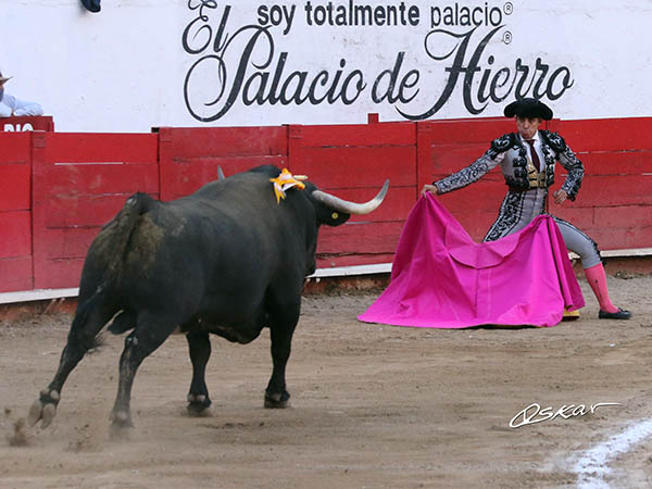 Saludo de capote