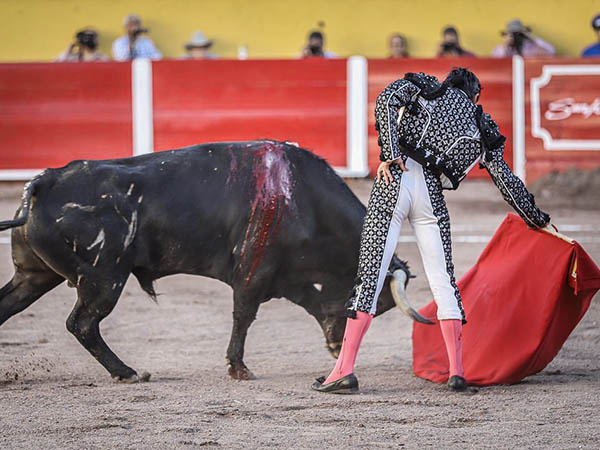 La faena de Carlos