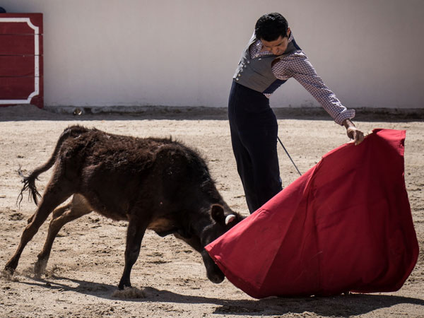 Matador Angelino de Arriaga