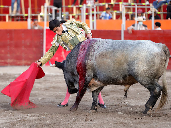 Se quedo con el torero