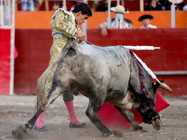 Ortega con oficio