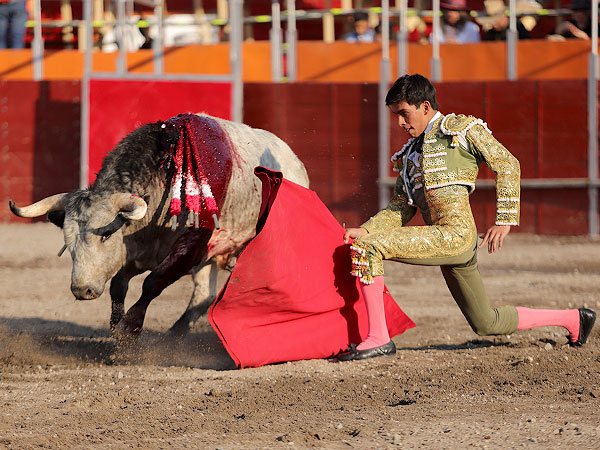 Jos Alberto Ortega